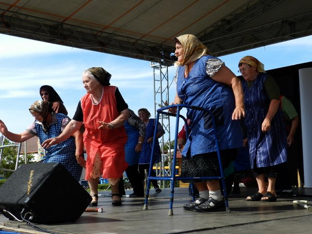 Megyei Közfoglalkoztatási Kiállítás 099